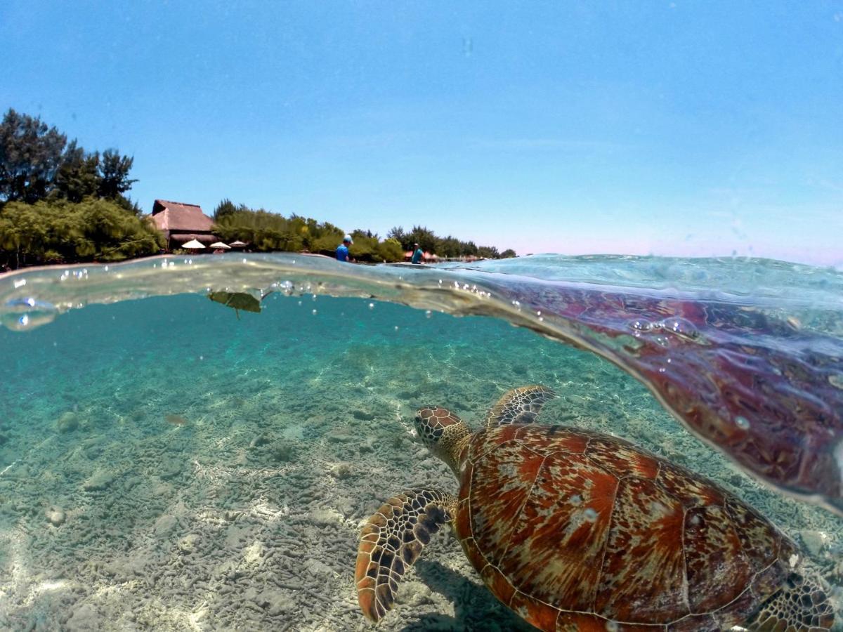 Mimpi Bungalow Gili Meno Εξωτερικό φωτογραφία